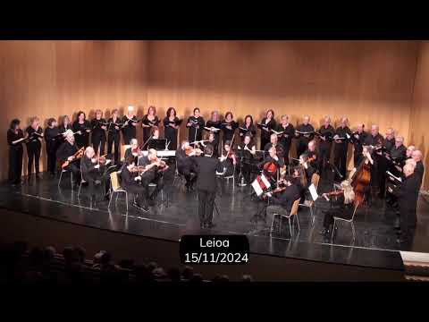 Video de la galería