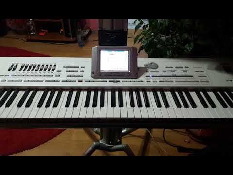 Nelutu Muresan - Cerul are multe stele