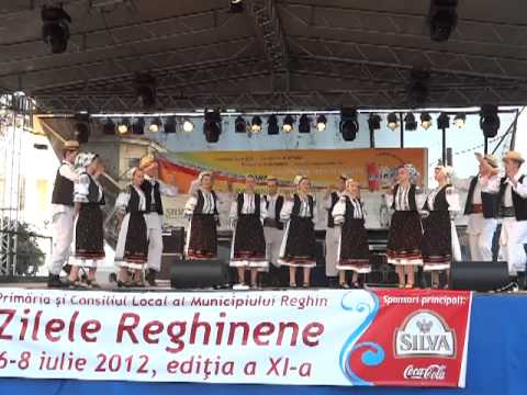 Ansamblul Doina Muresului, Reghin