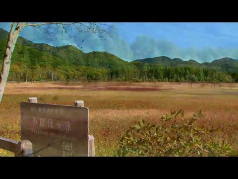 戦場ヶ原・小田代原