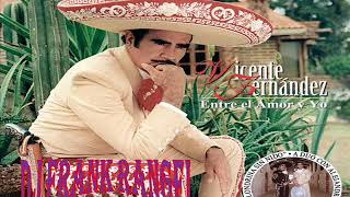 vicente fernandez y alejandro fernandez golondrina sin nido (dj frank rangel)