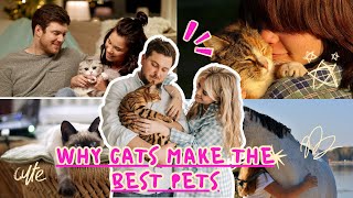Why Cats make the Best Pets #cat #cutecat #Pets