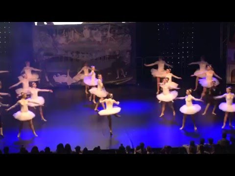 Labutí jezero, znovu, ale jinak.. - RADOST - IMPULS BOHUMÍN.