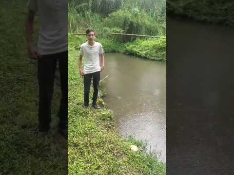 Proyecto Jóvenes emprendedores Vergara cundinamarca