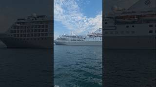 Big vs Small Cruise Ship Battle ⚓ Which Cruise Experience Would You Choose? #travel