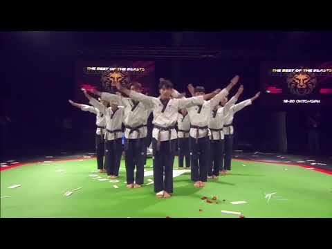 Sofia 2019 World Taekwondo Grand-Prix Demonstration Team Performance!