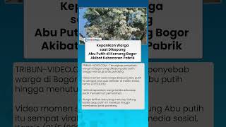 Kepanikan Warga saat Dikepung Abu Putih di Kemang Bogor Akibat Kebocoran Pabrik
