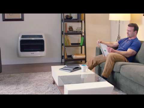 Dyna-Glo Signature Series 30,000 BTU Blue Flame Wall Heater