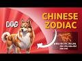 🐕 Dog Chinese Zodiac – 2026 Year of the Fire Horse Forecast