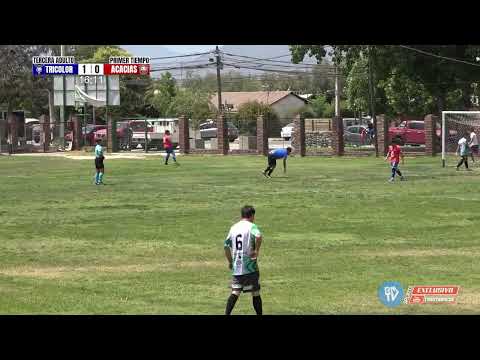 Tricolor de Paine Gol 1 a 0 Frente a Las Acacias - Campeonato de Paine 2024