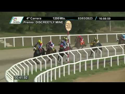 230303 c04  - ATENEA FEVER - HIPODROMO LAS PIEDRAS
