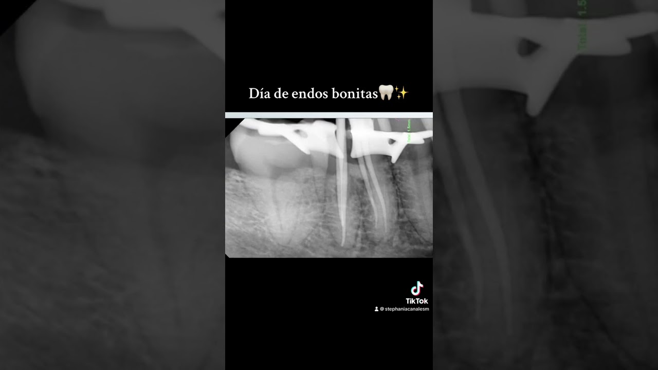 E. Stephania Canales Moyer-7