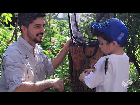 The Butterfly Conservatory at Fairchild