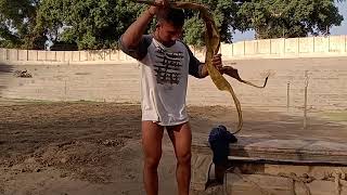 Download lagu How to wear langot Ali pehlwan # simple and easy method # viral mp3