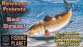 Fishing Planet S2 - Ep. #14: New Species: The Common Red Drum of the Salty Delta, FL Everglades Map!
