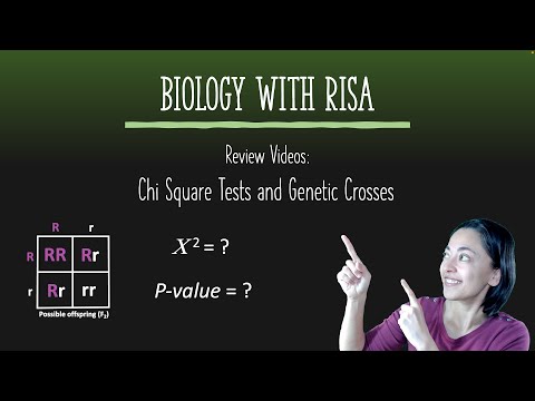Chi Square Test and Genetic Crosses