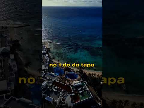 MTG Dadinho 🎲🎧🎶