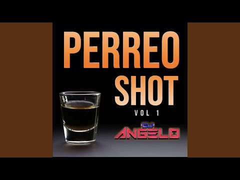 PERREO SHOT VOL 1