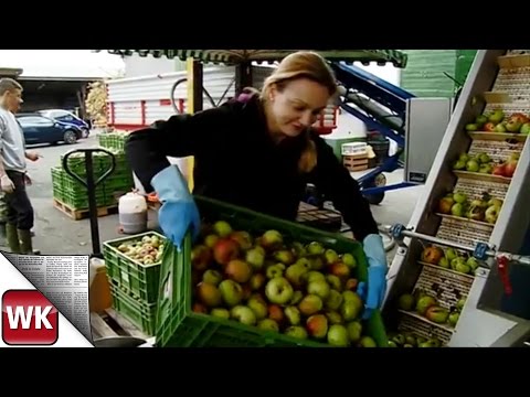 Wiesbaden / Erbenheim: Apfelsaft-Azubi