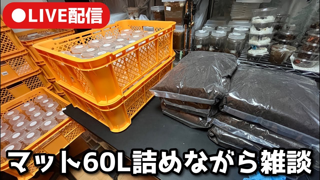 この人なんで土詰めてるの？