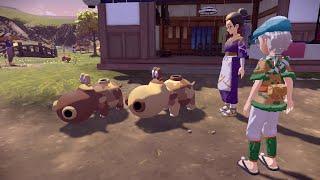 【実況】公園の人気ない遊具みたいだわ【Pokemon LEGENDS アルセウス】#11