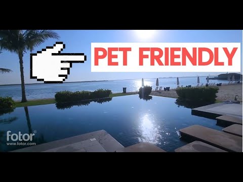 BEST Pet Friendly Hotel in Umm Al Quwaim - Pearl Hotel UAQ