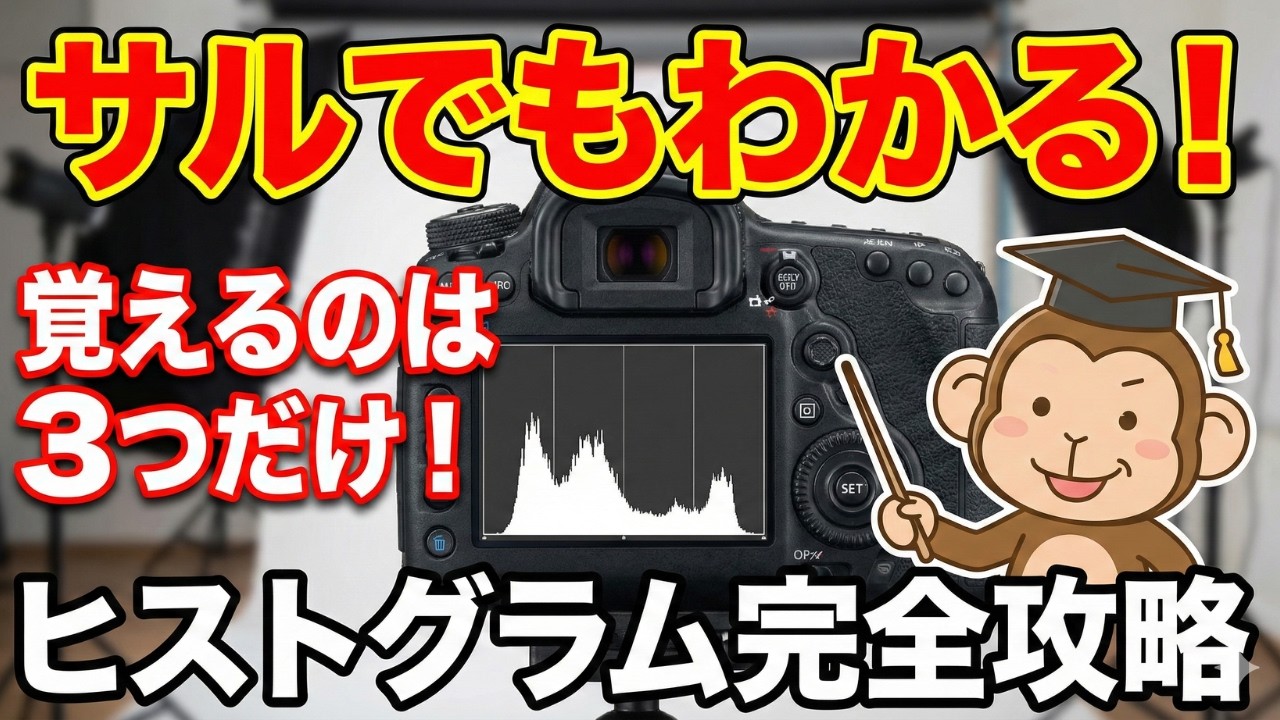 覚えることは3つだけ！サルでもわかるヒストグラム完全解説