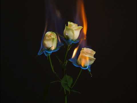 Chit Tay Ye Lar ( cover song )