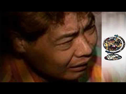 不法入国者の増加と日本の戦い (Japan's battle with rising tide of illegal Chinese immigrants)