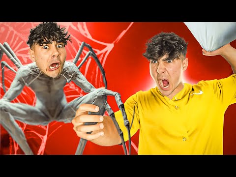 If SPIDERS could talk😰