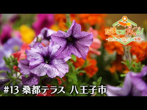 「たまにはプラっと！」　2024年6月28日放送