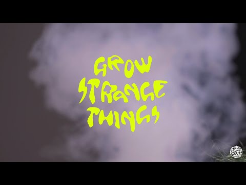 MUSHROOM LIVE S03 - GROW STRANGE THINGS : TEASER 2