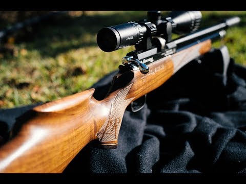 Daystate Huntsman Regal XL vs Squirrel