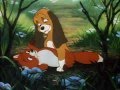 Rox Et Rouky Toujours Amis