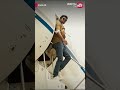 What A Stylish Entry Sarkar Thalapathyvijay Varalakshmi Sunnxt Shorts