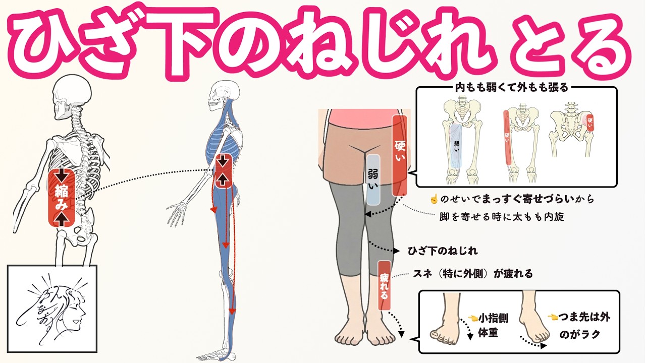 【ひざ下O脚】足を寄せても膝下がつかない意外な原因｜３つのセルフ整体｜外ももが張る・スネの外側が疲れる