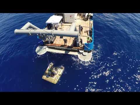 Project Baseline/Nekton funMONTAGE 1