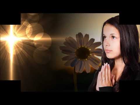 Harmonia Do Saber video