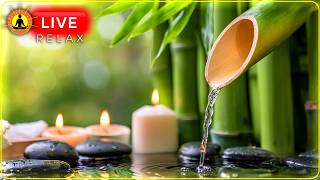 🔴 Relaxing Music 24/7, Meditation Music, Spa, Healing Music, Massage Music, Sleep, Study Music, Zen thumbnail