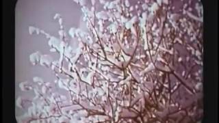 Gorky's Zygotic Mynci - Christmas Eve