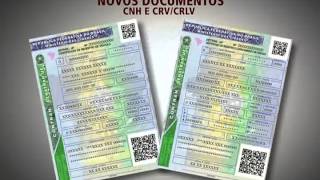 Miniatura do vídeo
