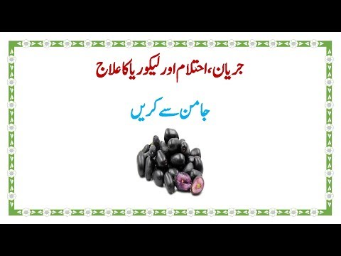 Jamun Benefits in urdu//Black Plum //Black Plum Benefits//Black Java Plum//Java Plum Benefits