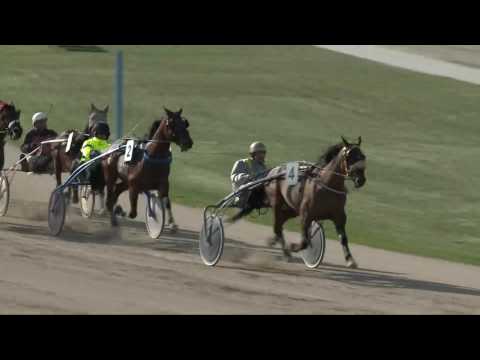 2017.04.08. 6. futam - MOUNT DÍJ