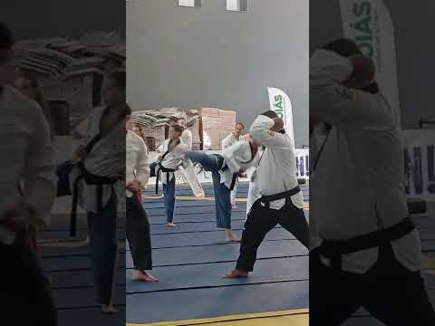 Taekwondo indiara-goias, seminário de poomsae 2026 da liga nacional e FECOT, atleta Sandra Isabela