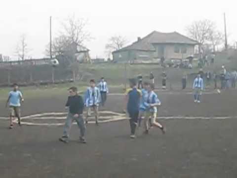 tarzii tarzii tarzii