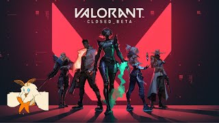 〖VALORANT〗ソロランク　朝活ってやつ