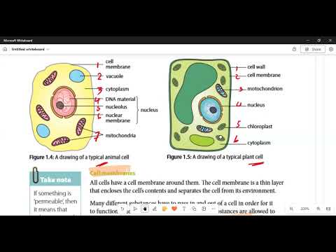 Natural Sciences Grade 9 Cell as a basic unit of life Term1