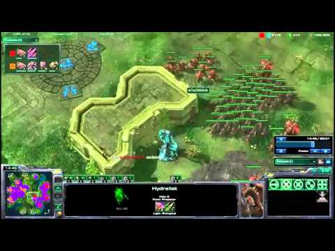 Dimaga vs AnotherDay StarCraft 2  pro blizzasc2 sc2 dota esport lol highlights