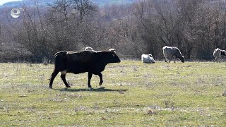 Остър дефицит на кадри в селското стопанство, фермери наемат работници от чужбина