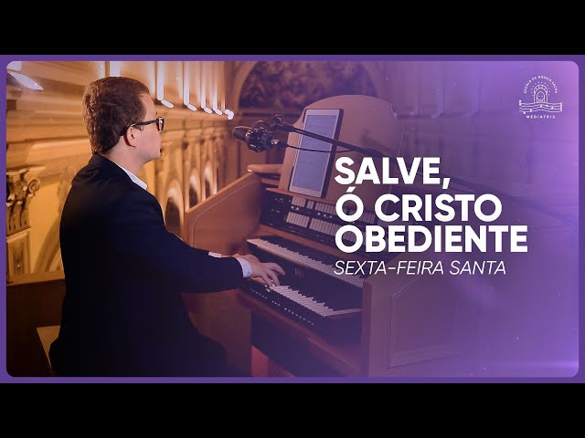 Preview do vídeo